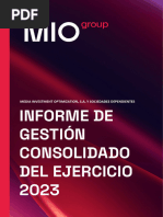 Informe de Gestion 2