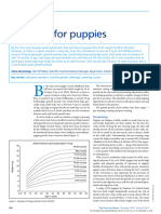 Nutrition For Puppies-1