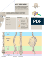 Vertebras