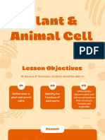 Plant and Animal Cell