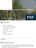 Sugarcane Sugar & Ethanol Balance Sheet-Feb 2024