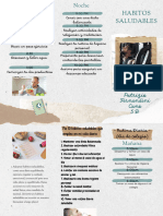 Folleto Tipo Acordeón Tríptico Itinerario Vacaciones Scrapbook Beige y Verde