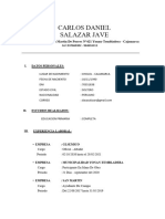 CV Carlos Daniel Salazar Jave