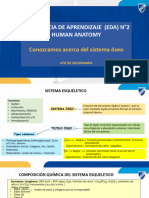 Diapo - Eda N°2 Anatomia - 4to Secundaria - Bim - I Jlo