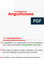 Anguillulose