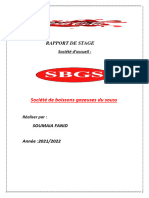 Rapport de Stage Sbgs. Soumia Fanid-Converti