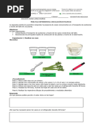 Práctica Experimental Circulación en Plantas