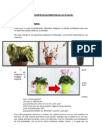 Planificación Plantas