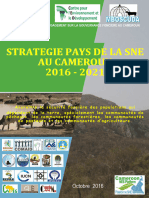 Strategie Pays de La SNE Au Congo