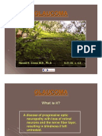 Glaucoma PDF