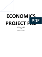 Economics Project File