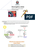 BIOL130 Clase 15 - Bioenergetica I