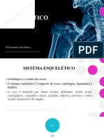 Sistema Esqueletico Anatomia