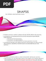 Sinapsis