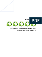 Diagnóstico Ambiental PS IV