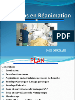 1.1. Les Soins Réa