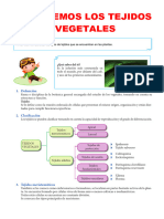 Ficha de Segundo Secundaria