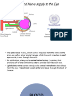 Blood and Nerve Supply To The Eye