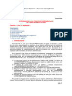 Wilson Villarroel - Apuntes de Derecho Regulatorio - Capítulo #01