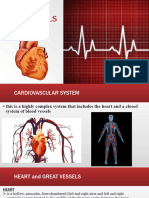 Heart Anatomy Only Students