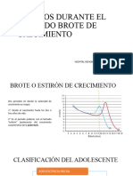 Cambios Durante El Segundo Brote de Crecimiento