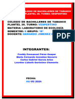 Practica 1 Ecología, Sustentabilidad y Desarrollo - 20240213 - 002319 - 0000.pdf - 20240508 - 022001 - 0000