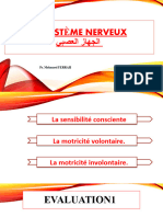 Le Systeme Nerveux Cours PPT 11