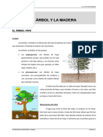 Tema 1. El Arbol