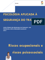 Aula 4 Riscos Ocupacionais e Riscos Psicossociais 2024