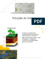 Poluição Do Solo