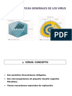 Morfologia y Composicion Virus