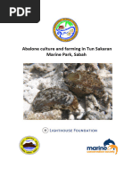 Abalone Culture and Farming in TSMP 2015