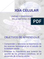 PDF Celulas