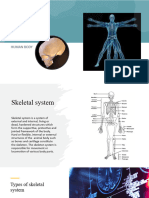 Skeletal System