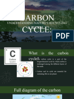 Carbon Cycle