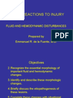 Patho4 CDSA Circulatory