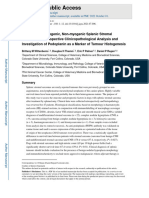 Canine Splenic Stromal Sarcoma 2021