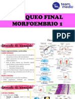 Banqueo Final