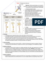 RepasoNeuro Parcial