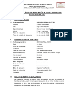 Informe 0001 - INDIVIDUAL MAYHUA VERA