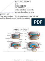 Gastrointestinal Tract Embroyology