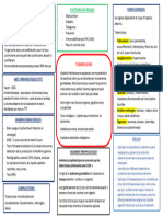 Carte Mentale La Tuberculose