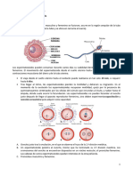 Fecundación y Anidación