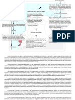 Mapa Conceptual Gran Colombia