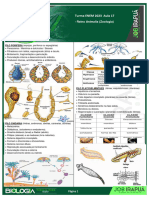 Zoologia PDF