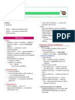 MidBrain Neuroanatomy - Medicosis Perfectionalis