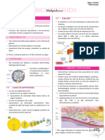 4° Palestra CI - Dislipidemias