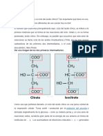 Ciclo de Krebs