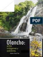 Revista Olancho, Municipios