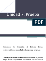 Procesal - Prueba